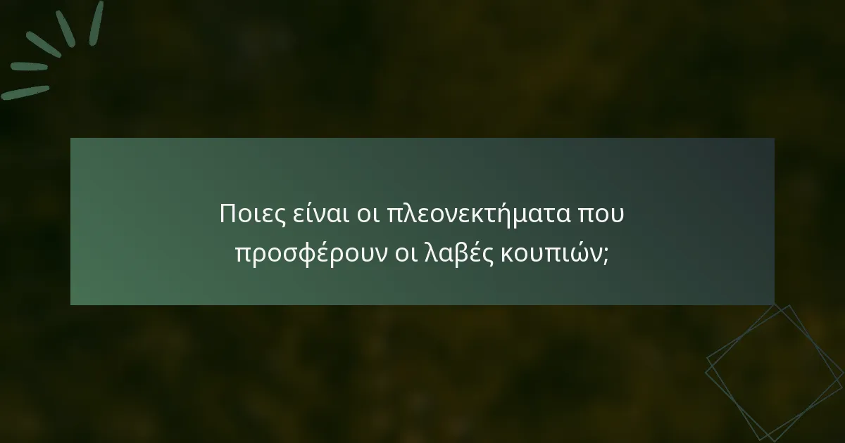Ποιες είναι οι πλεονεκτήματα που προσφέρουν οι λαβές κουπιών;