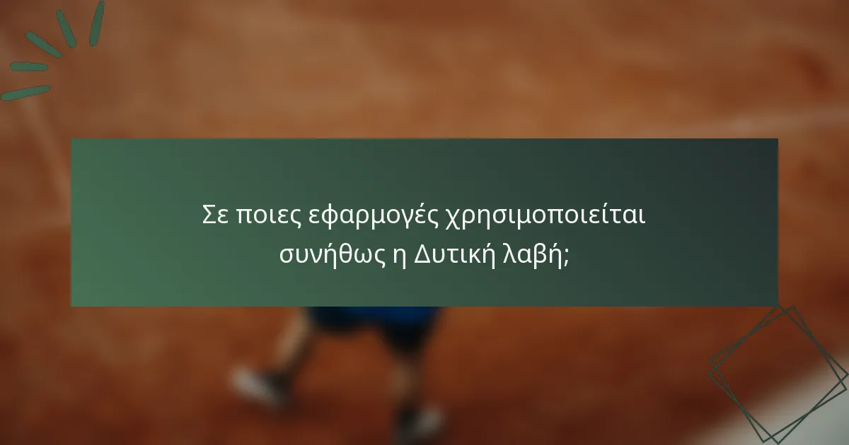 Σε ποιες εφαρμογές χρησιμοποιείται συνήθως η Δυτική λαβή;